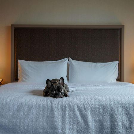 Homewood Suites By Hilton Chicago West Loop Fulton Mkt Area Екстериор снимка