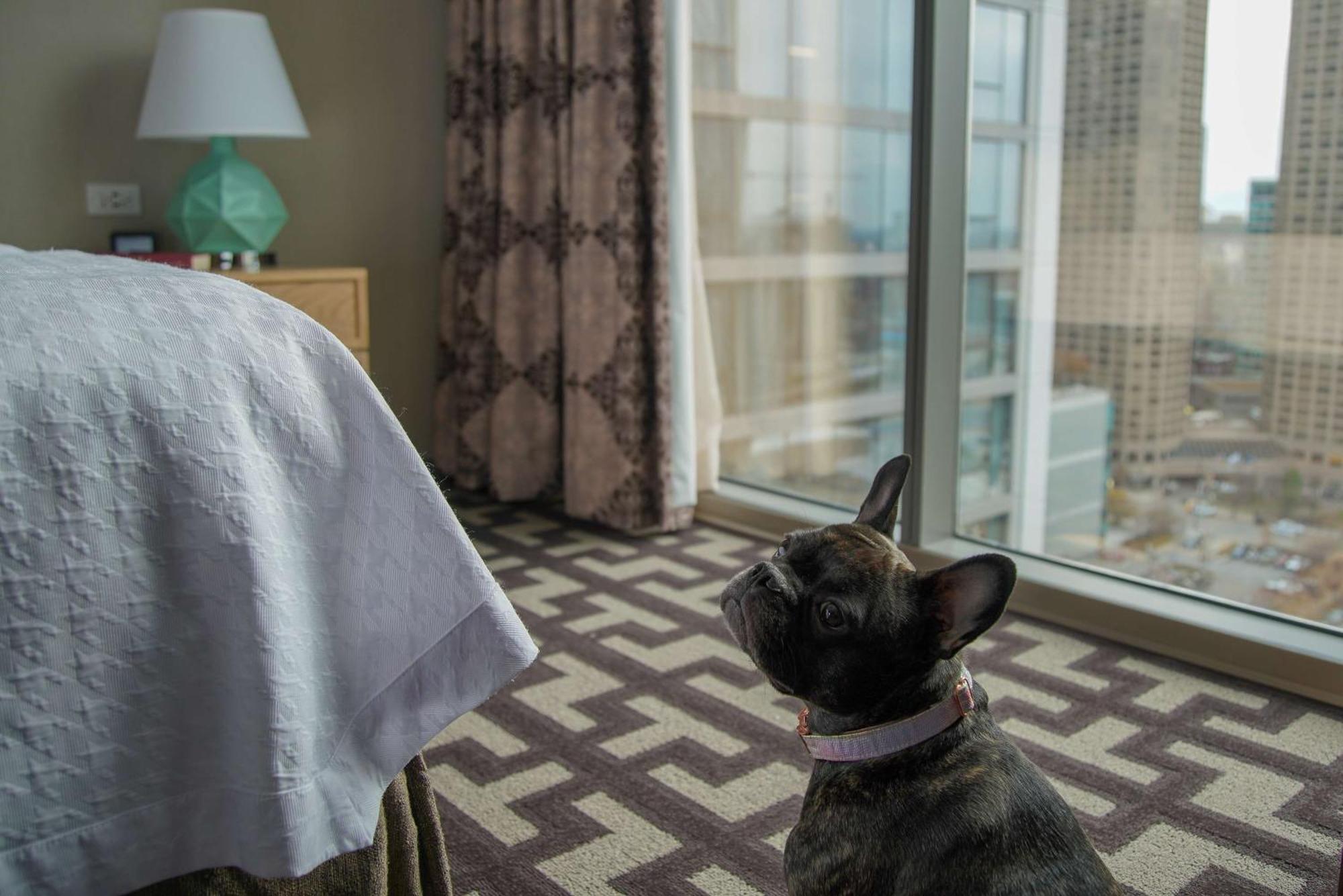 Homewood Suites By Hilton Chicago West Loop Fulton Mkt Area Екстериор снимка
