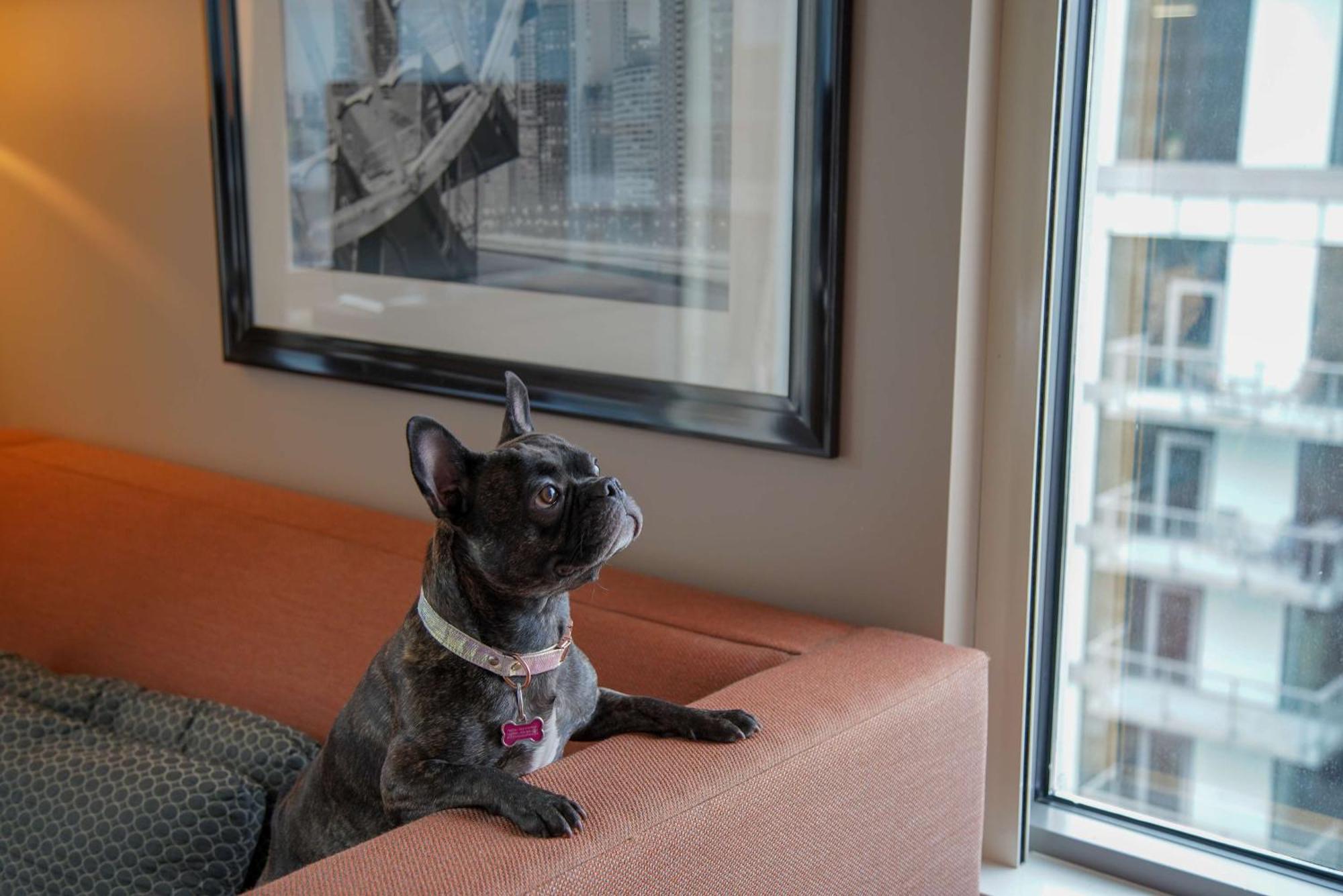 Homewood Suites By Hilton Chicago West Loop Fulton Mkt Area Екстериор снимка